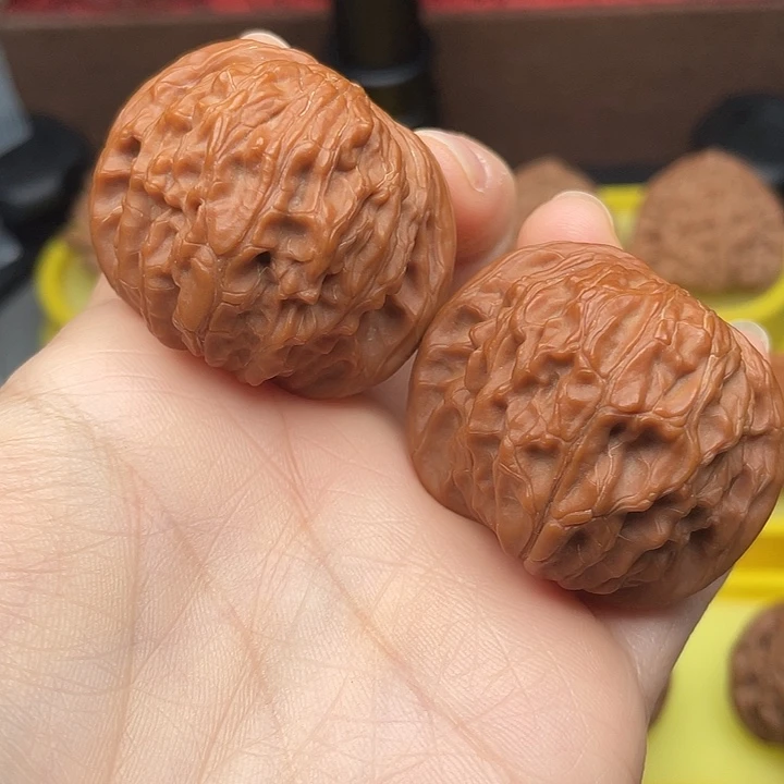 肉球磨41全品红皮