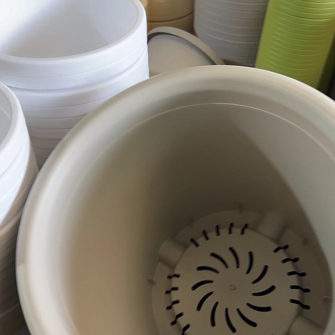 树脂四季8号无托5个灰白