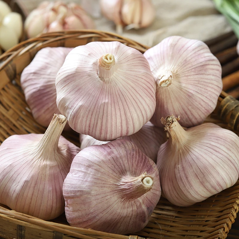 【新干蒜特惠】紫白皮干蒜2025农家自种自晒多瓣新干蒜辛辣头大蒜