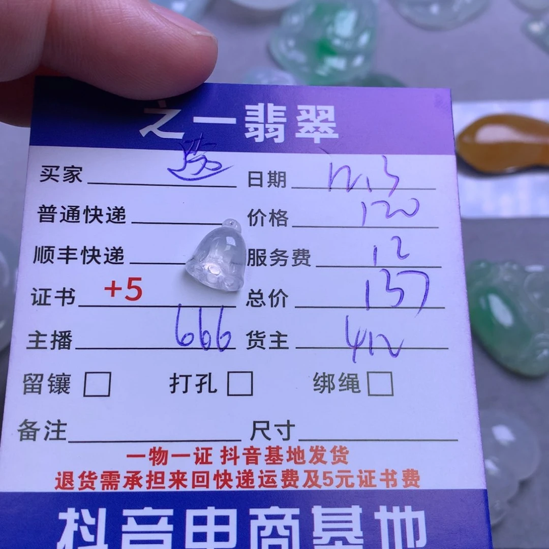 颈饰未镶嵌翡翠透****_