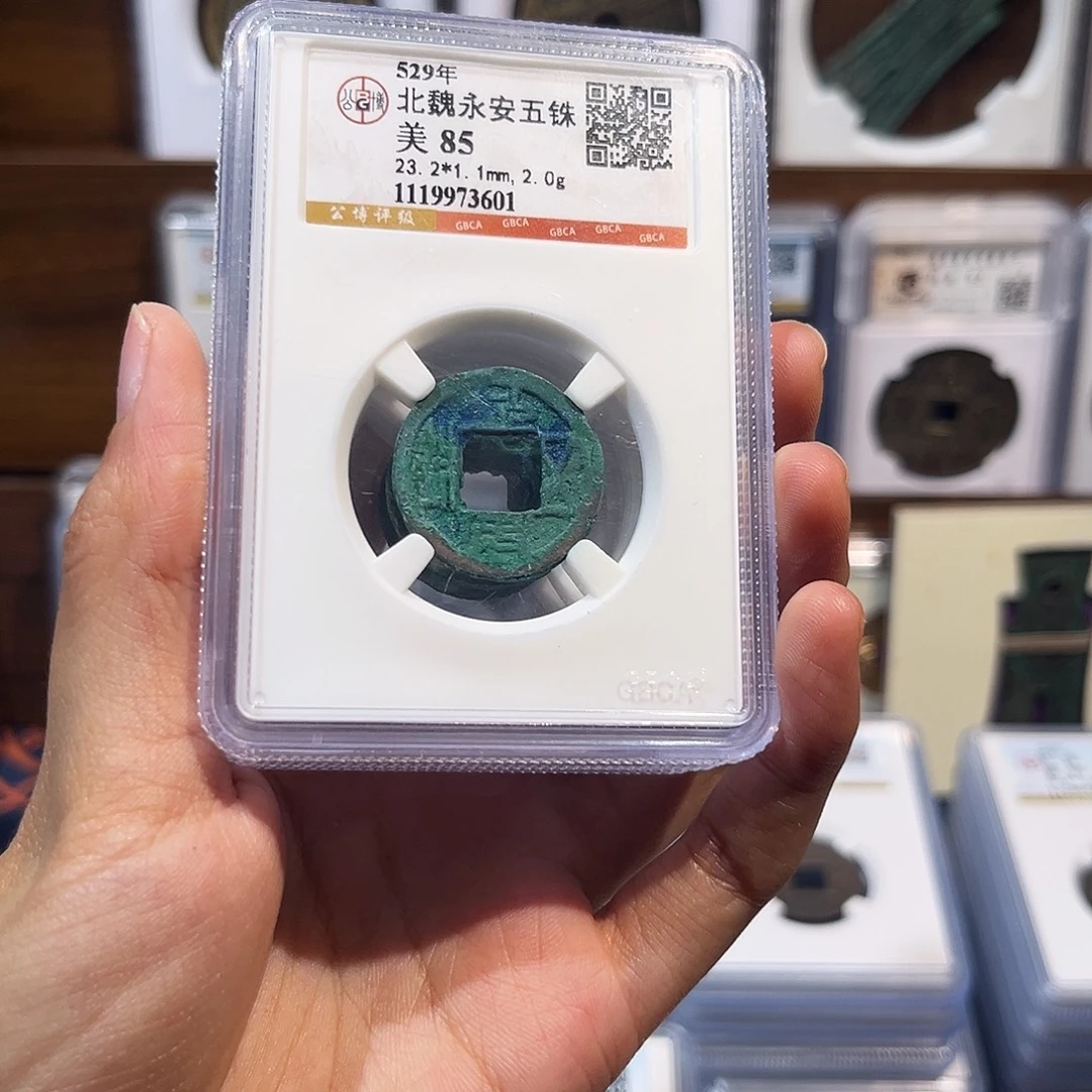 铜北w 永安五株 保真保老