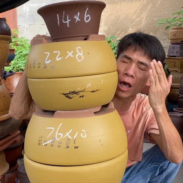 紫砂花盆这个世界上最好的朋友