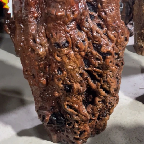 海***玩龙纹枣木精品花架