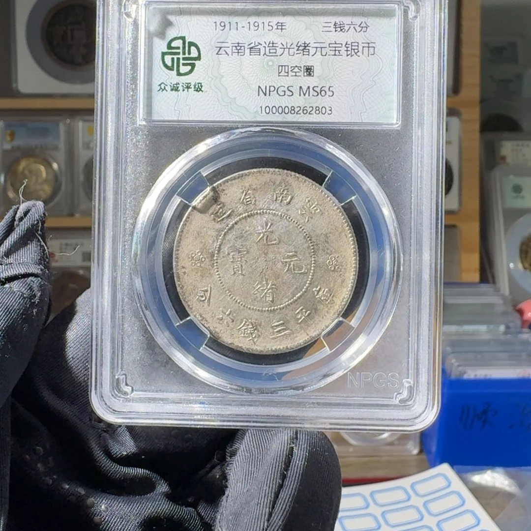 银郧****植65 半圆龙一个 小师妹MM282