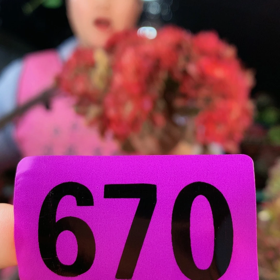 ssssssssssssssssssss670