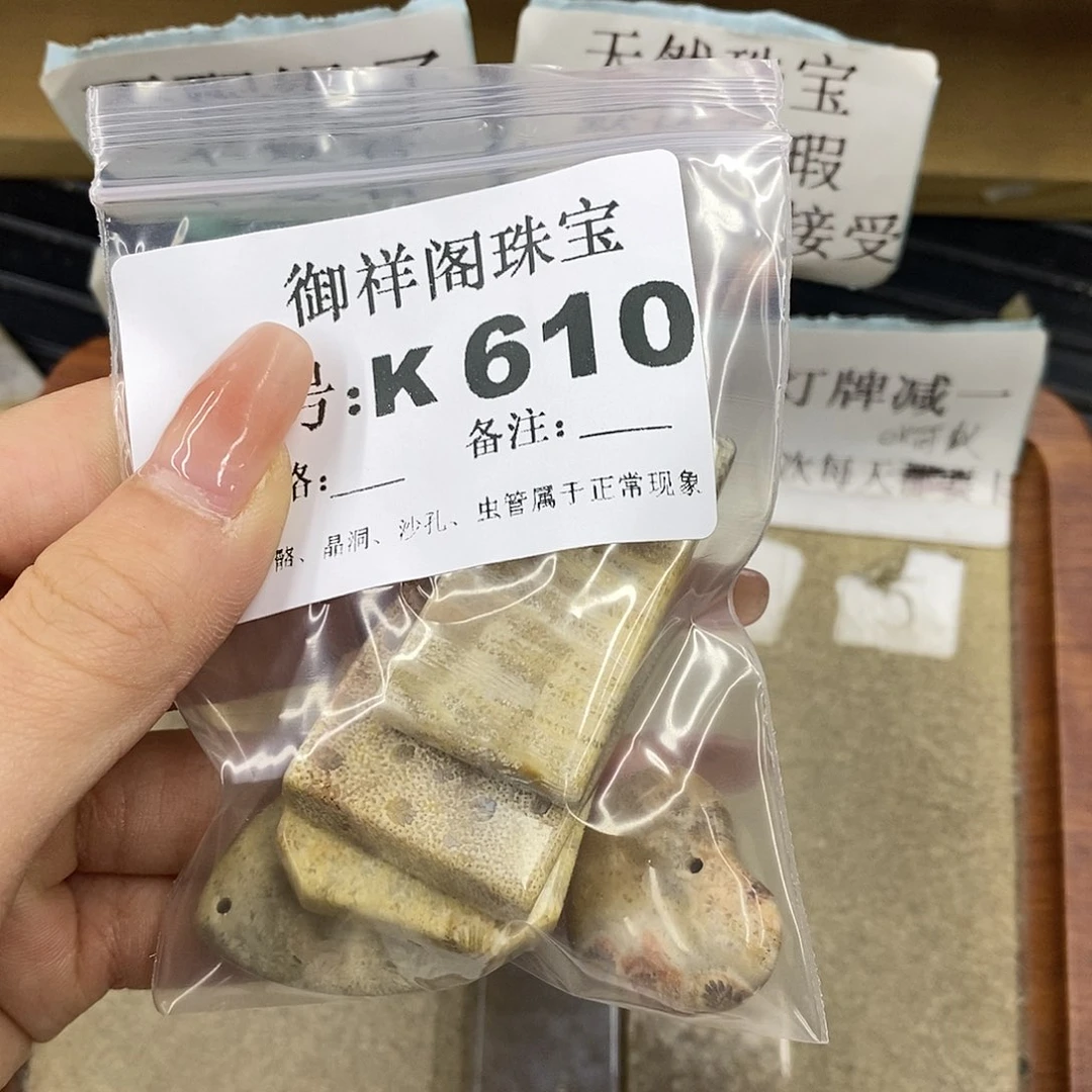 硅化珊瑚（珊瑚玉）未镶嵌颈饰b*m