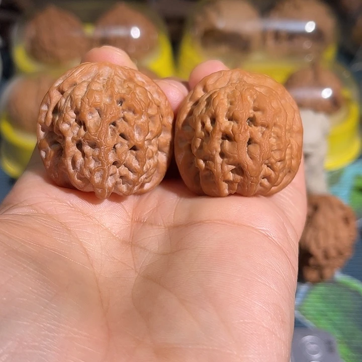 摩***生核桃太行雪狮红皮老树