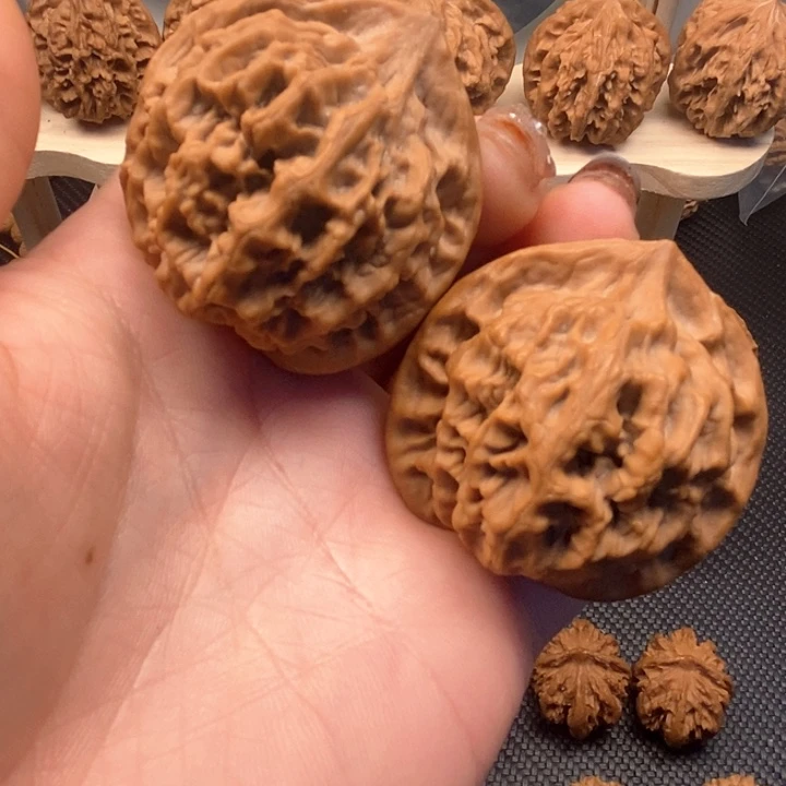 3****A秦岭官帽大花43尺