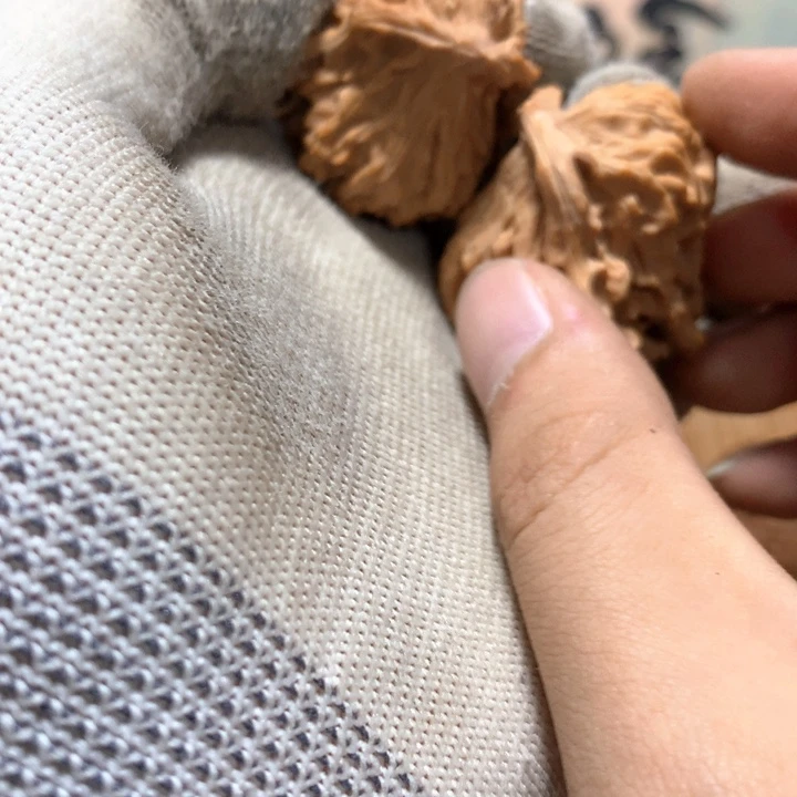 不***仔哈哈哈哈哈哈哈哈哈哈