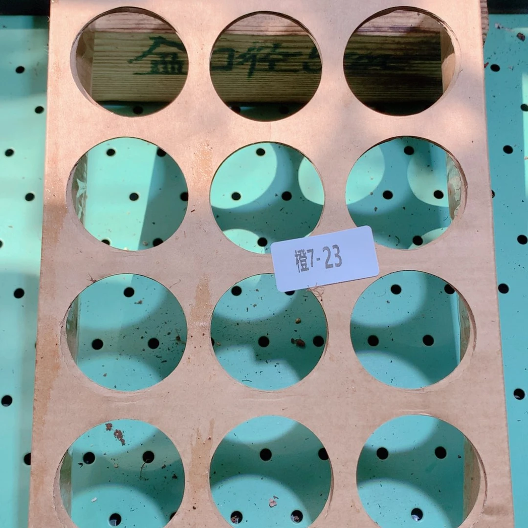 7-23一物一拍带盆18颗10组19.9米