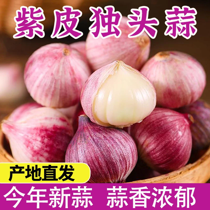 【云南溯源】 云南紫皮独头蒜