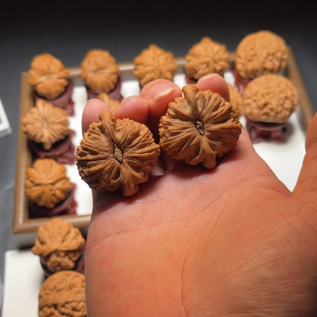 把件文玩核桃卡姿兰白狮子核桃尺寸40