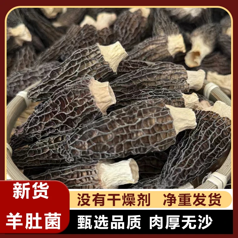 福利羊肚菌2025头茬新货滋补品厚肉