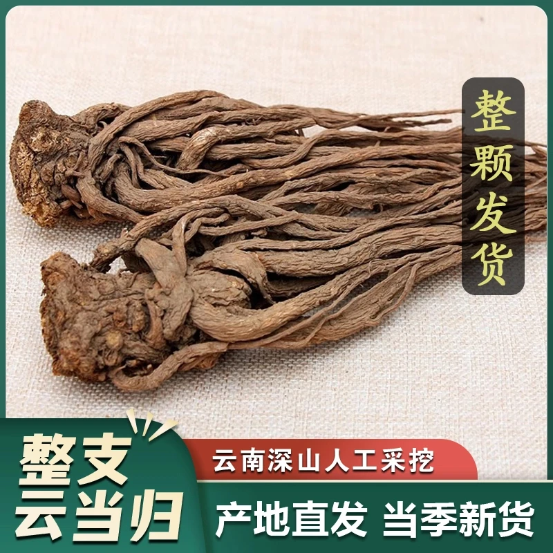 【云南当归整颗】云南特产 云当归干货 无硫 整棵当归个 自然晾晒