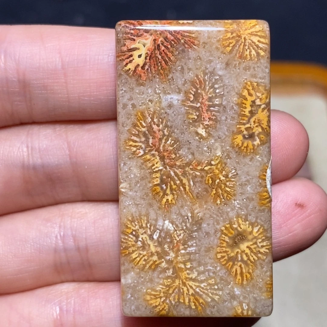 【闪购商品】硅化玉珊瑚玉未镶嵌