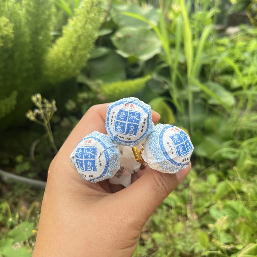 2021年勐库冰岛老寨普洱生茶龙珠头春茶滋味甜爽喉韵幽深100克