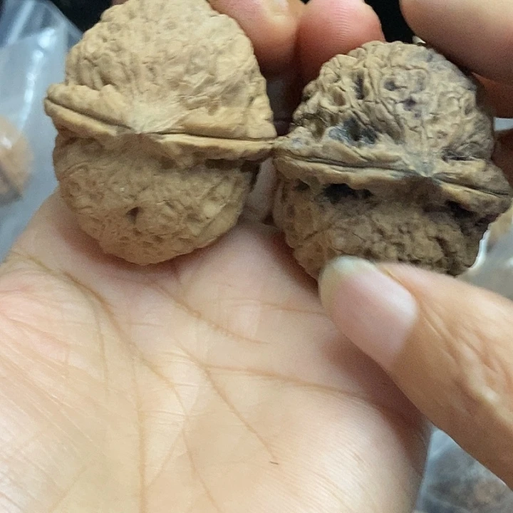 文玩核桃把件云南铁核桃基地38