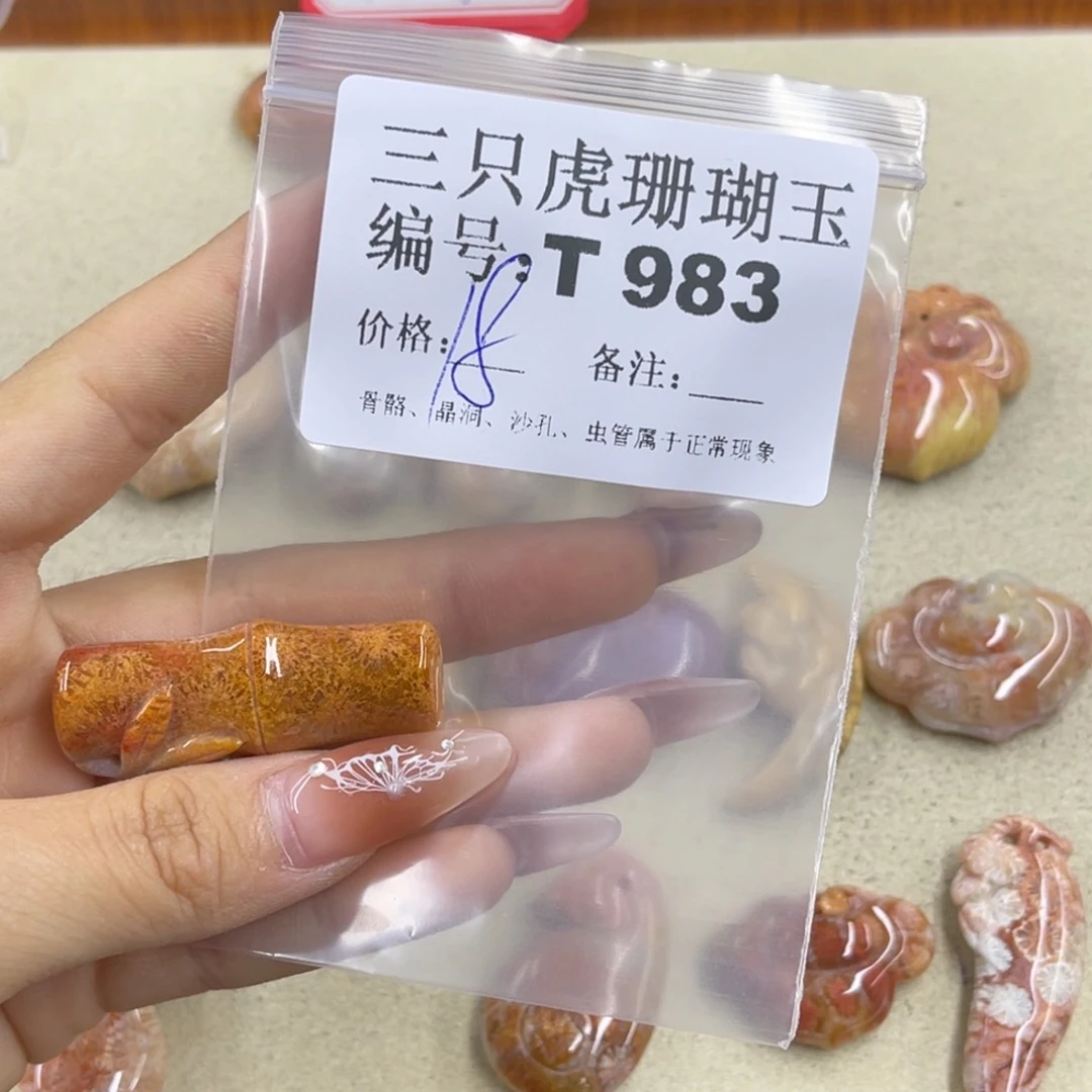 咚***～硅化珊瑚（珊瑚玉）h未镶嵌