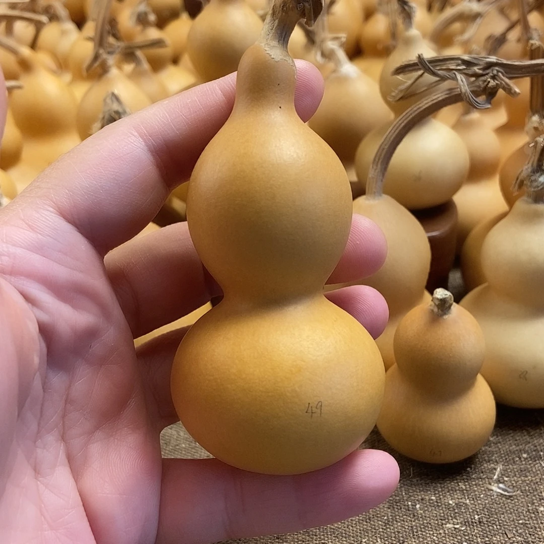 文玩葫芦 完美主义者 慎拍49