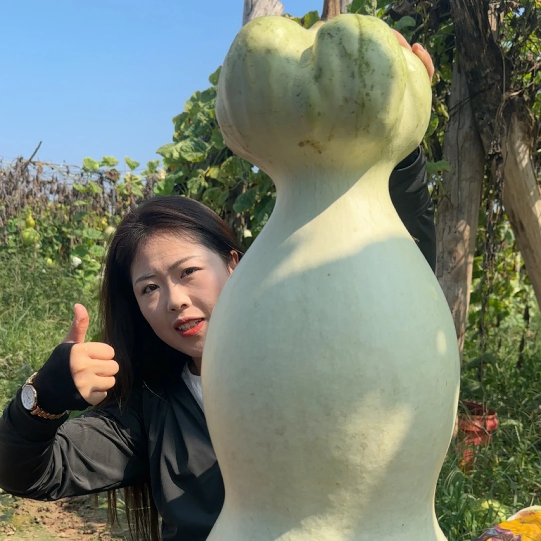 超大莲花头葫芦10粒