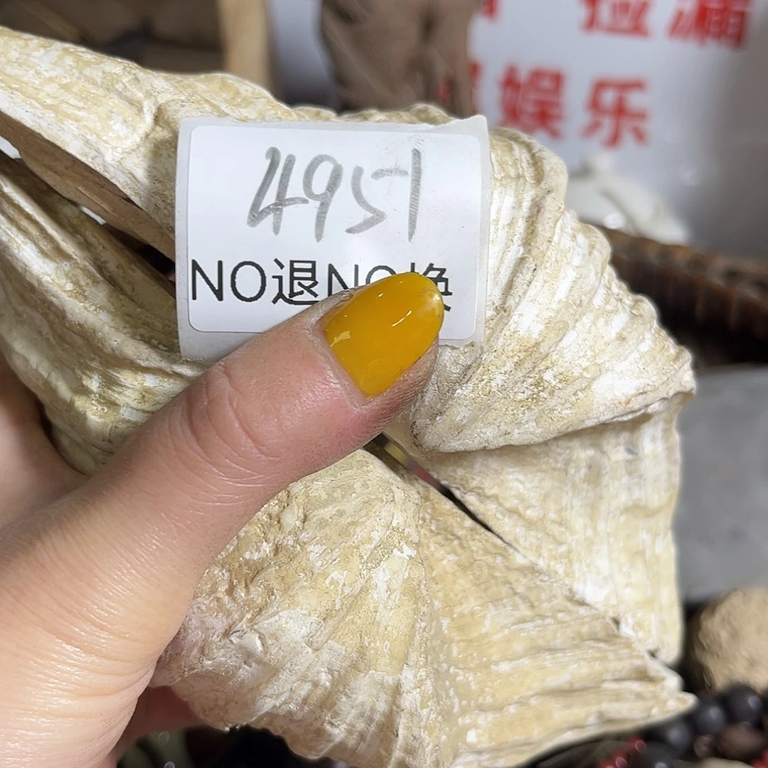 *****瓷片4951号工艺品