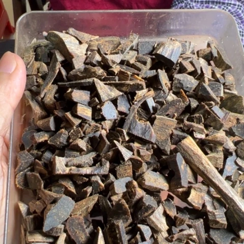 摆件沉香紫棋沉水20克多样性发1条