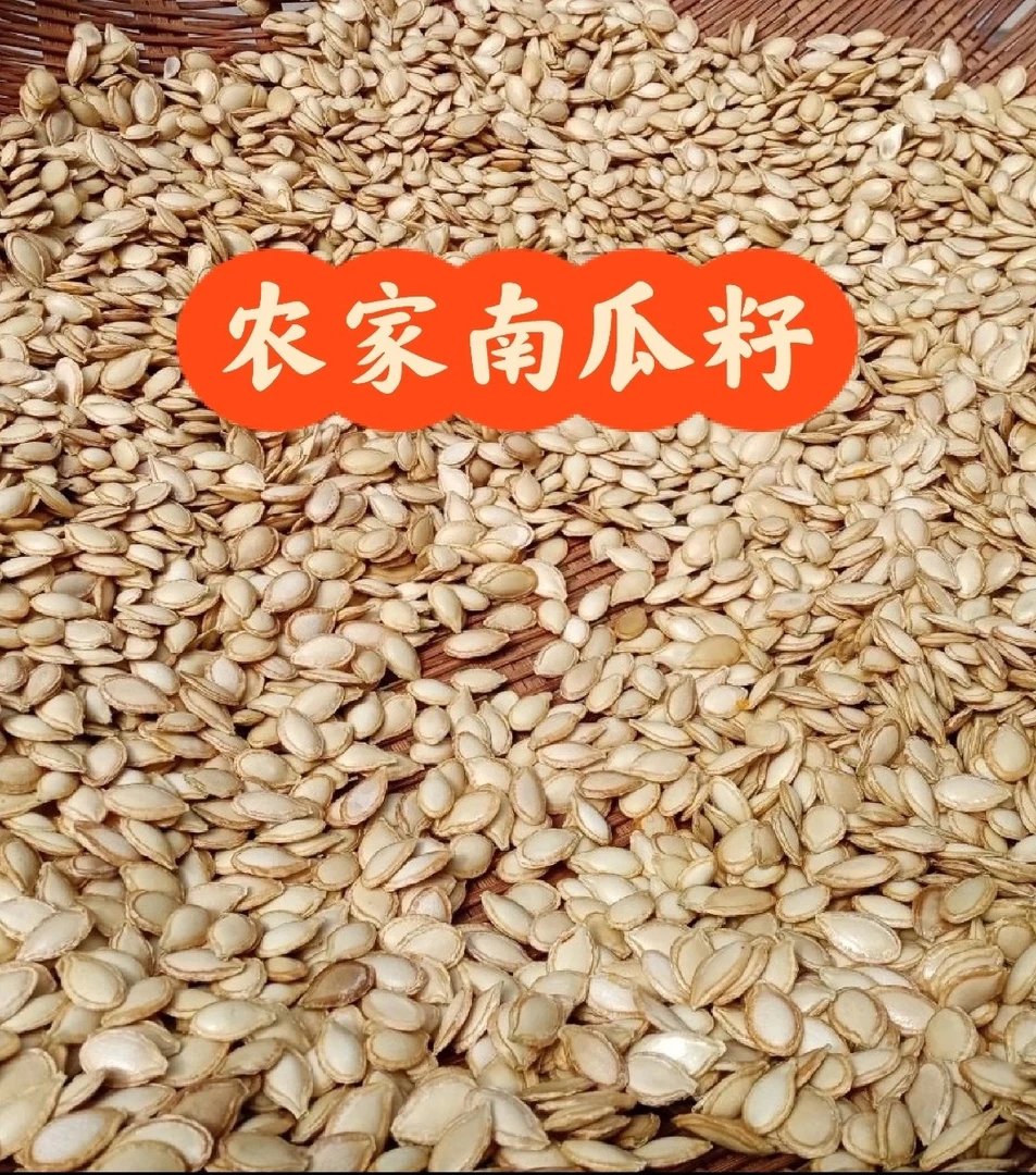 南瓜子农家自制（图片仅供参考实际以收货也主）
