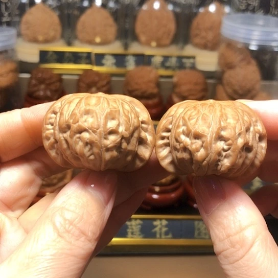 精品野生：战鼓货头