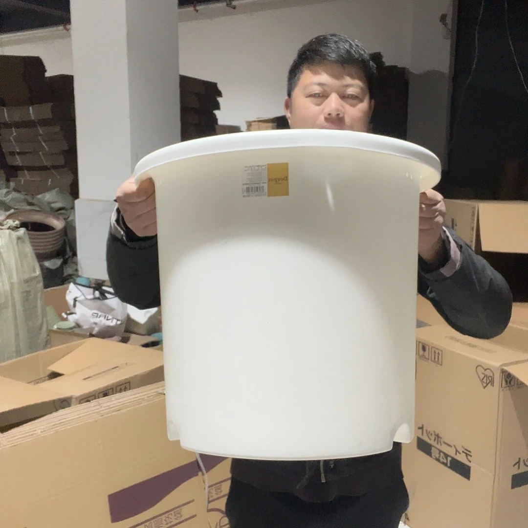 树脂爱丽14号白2个