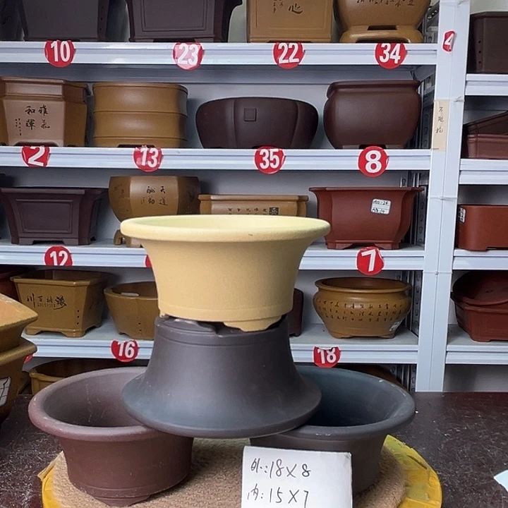 花盆紫砂你在一起