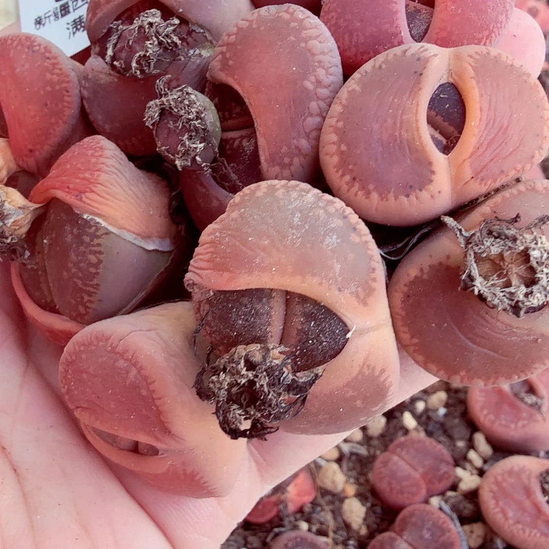 豆****?我们一起看电视的时间303