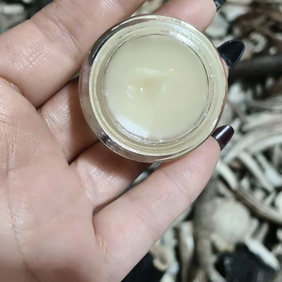 鹿角鹿角鹿角鹿角鹿角鹿角