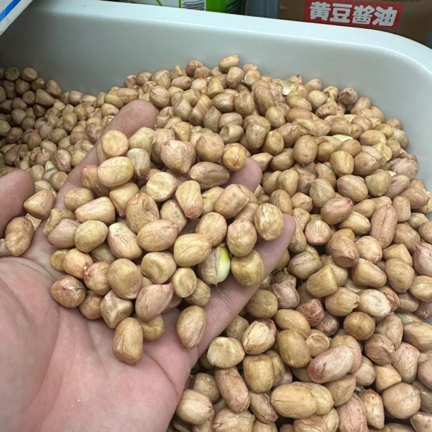 生花生米 480-520g