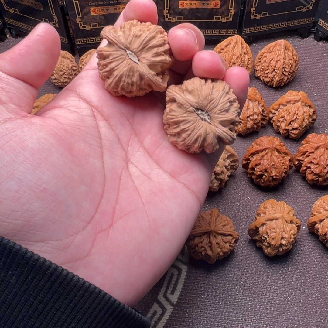核桃白狮子111111