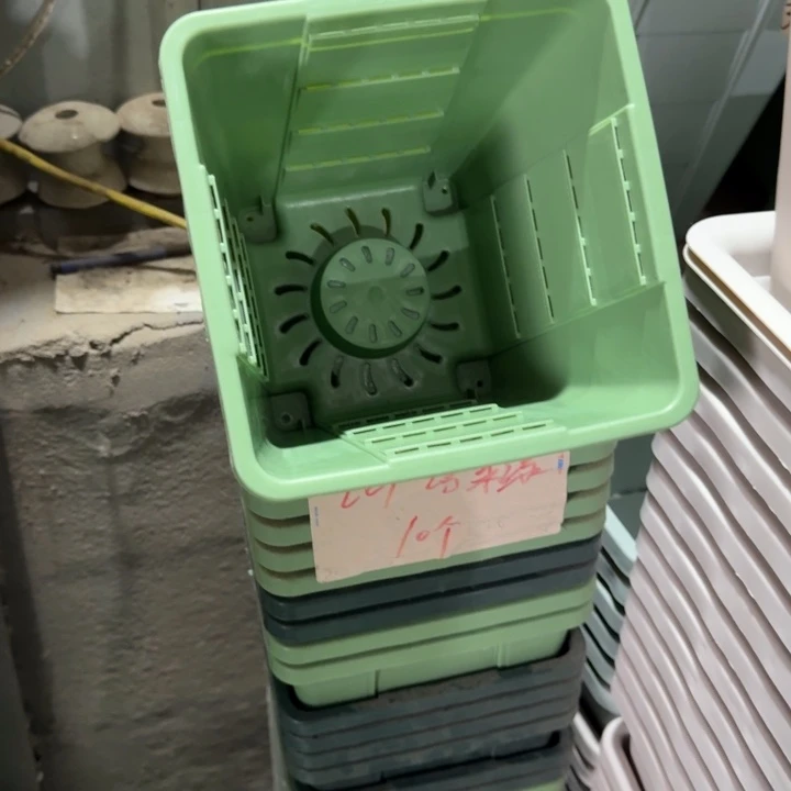方19口径10个无托浅绿
