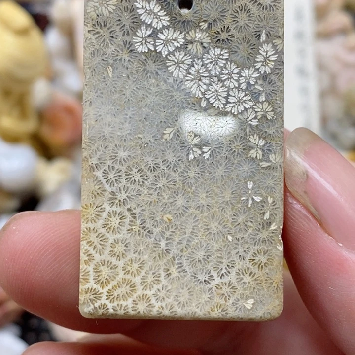 颈饰未镶嵌硅化珊瑚（珊瑚玉）有瑕