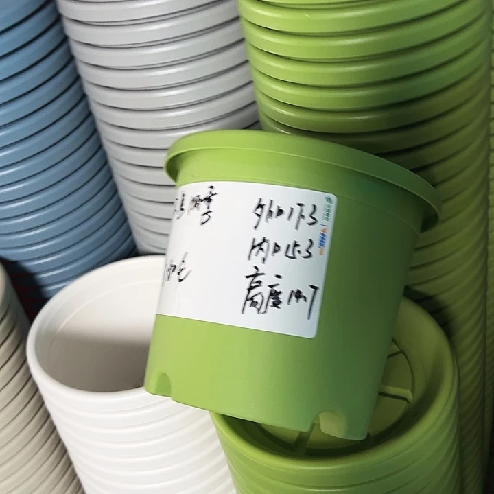 正品2号四季口17.3高14.7果绿无托10只