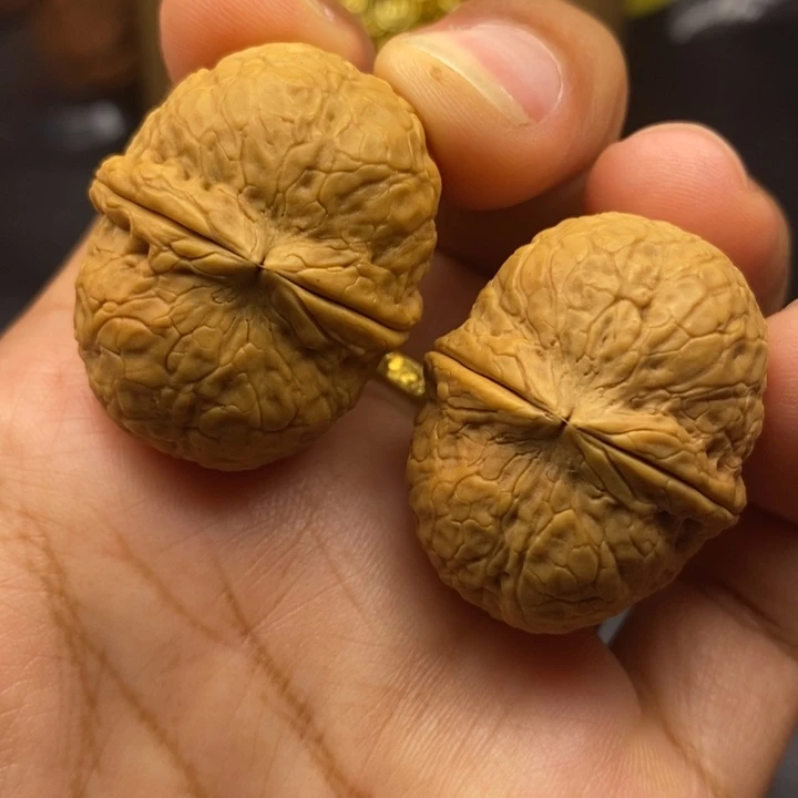 文玩核桃把件34尺寿星元宝