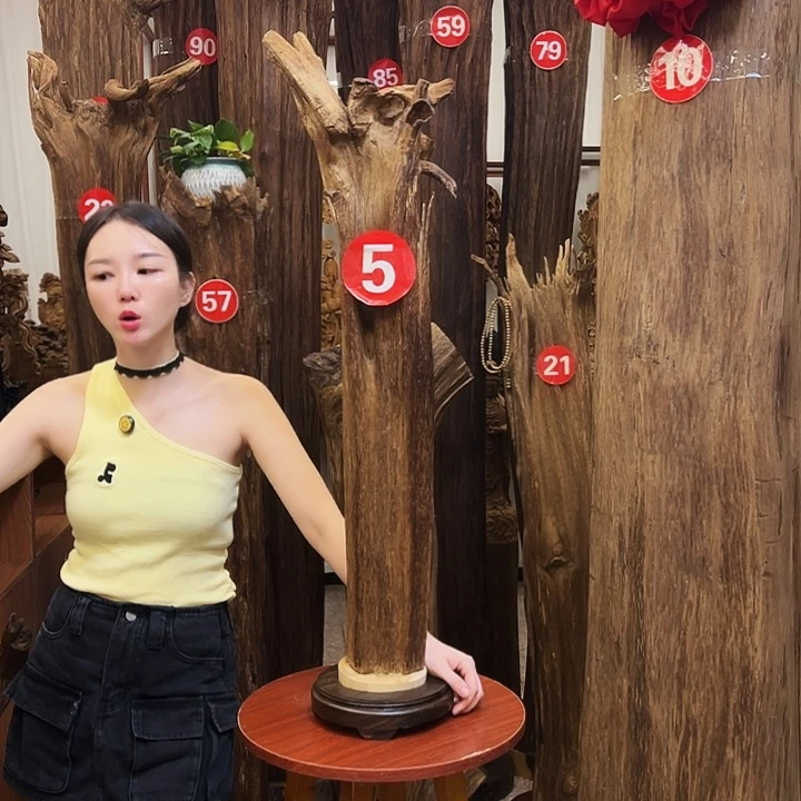 起***点沉香碎屑沉香沉香材料