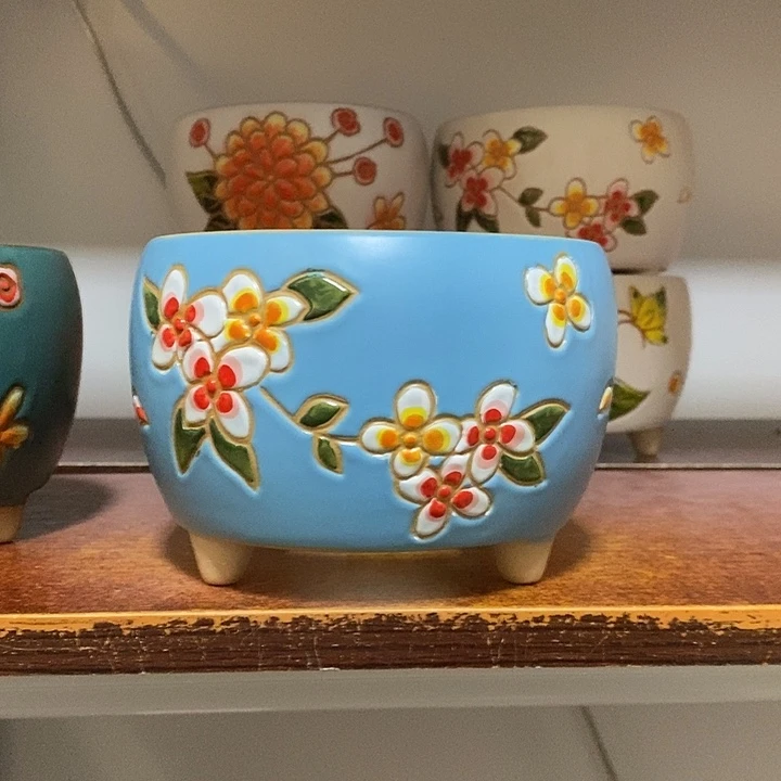 韩式多肉植物花盆