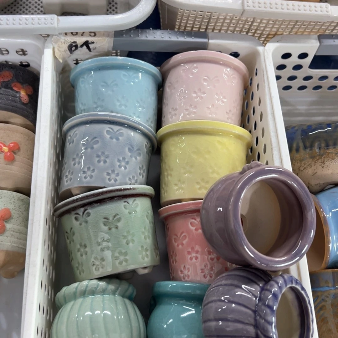 非偏远9.9包邮2050