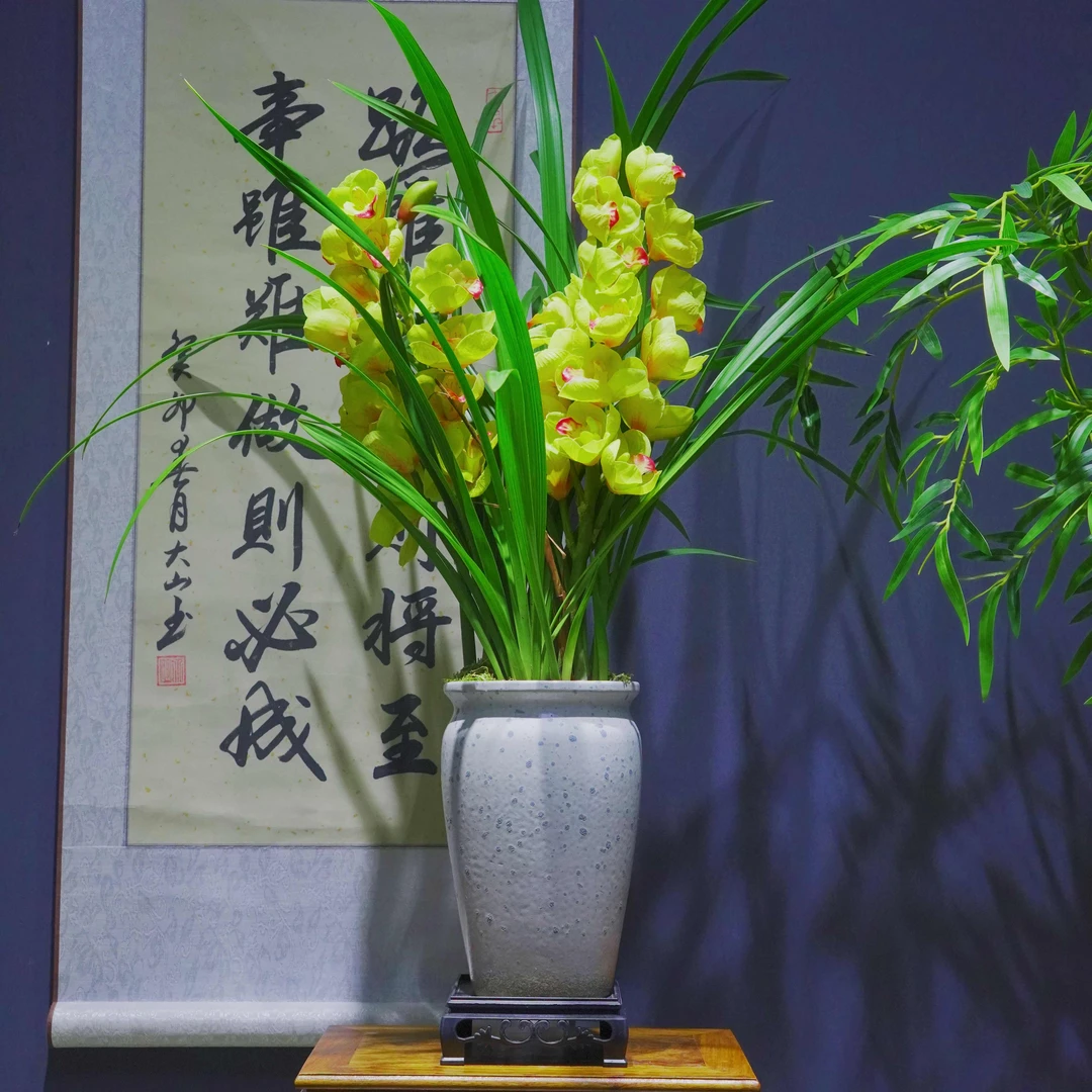 年宵花金玉满堂勤花兰花带盆种好好养易活室内大花蕙兰客厅盆景