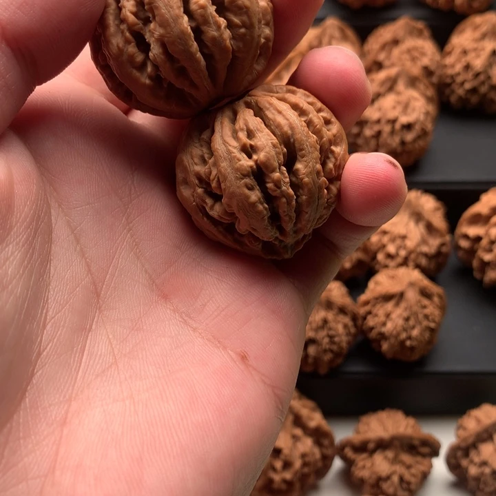 其他核桃秦岭森林公园等多处景