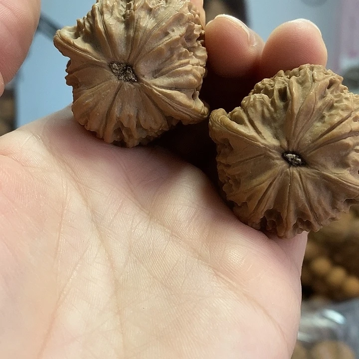 文玩核桃把件40红狮子小众