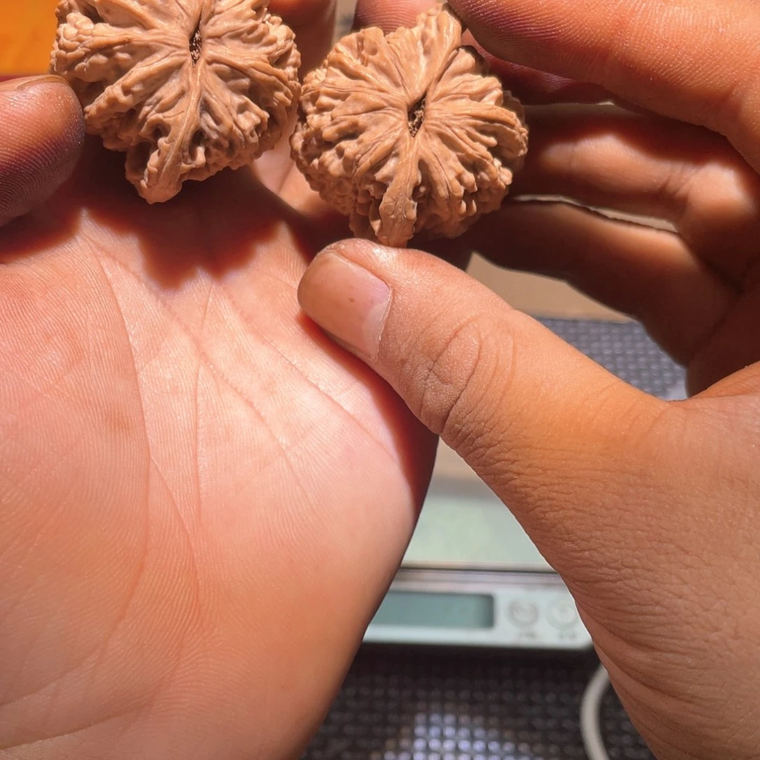 文玩核桃把件虎头