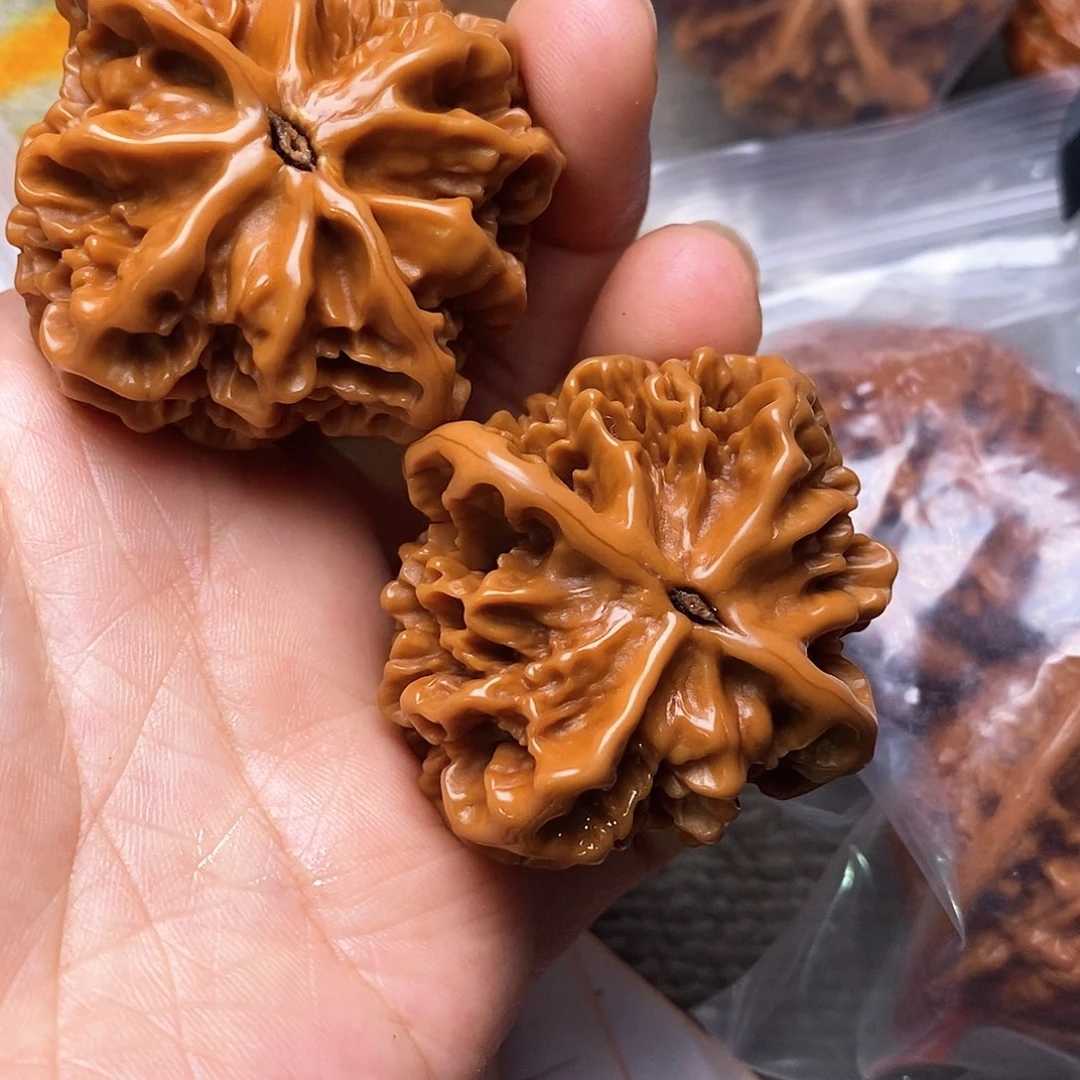 木质类帝王。
