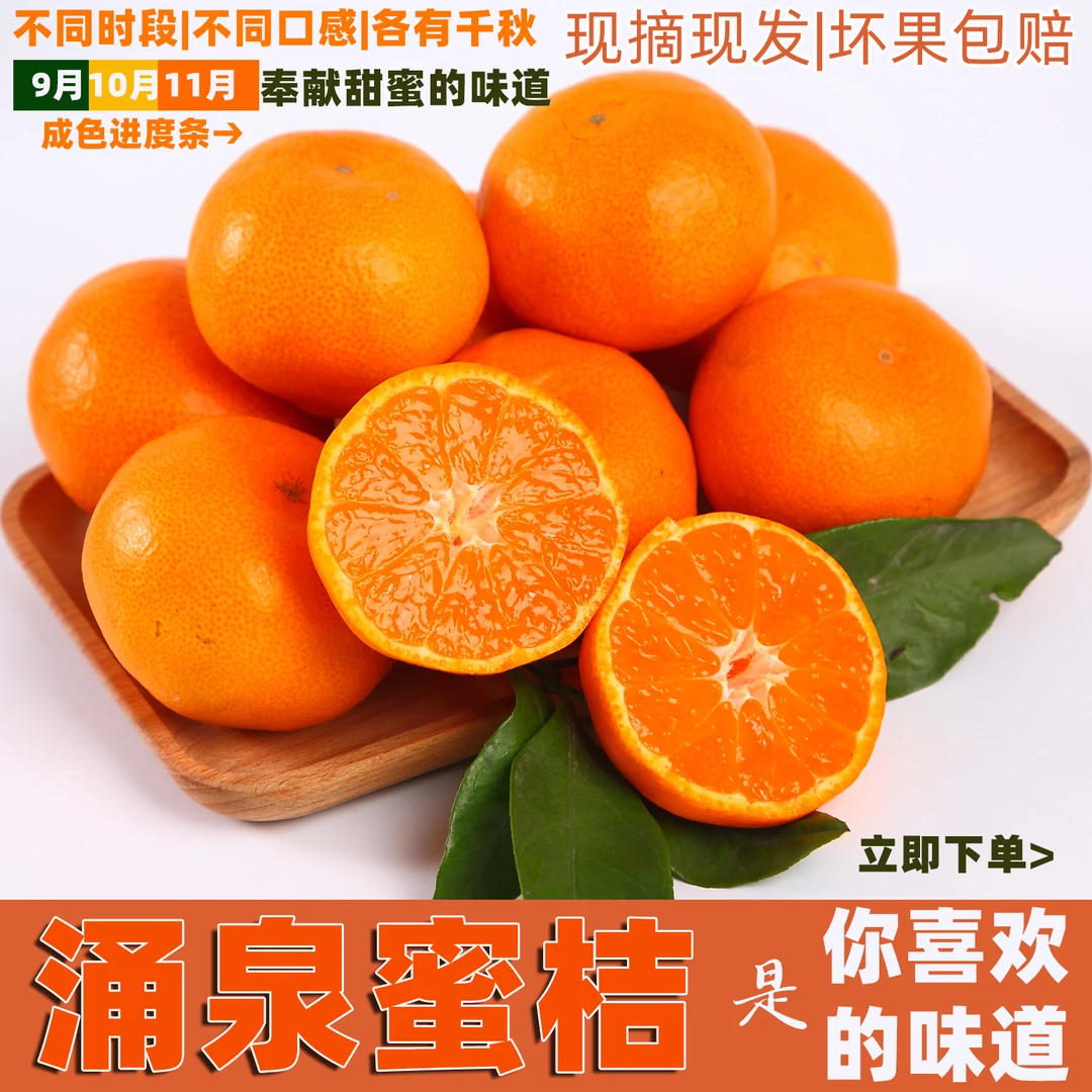 寻桔临海涌泉蜜桔早熟宫川无核柑橘子当季新鲜水果现摘现发