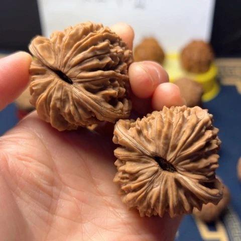 45尺四座楼全品喜欢好评