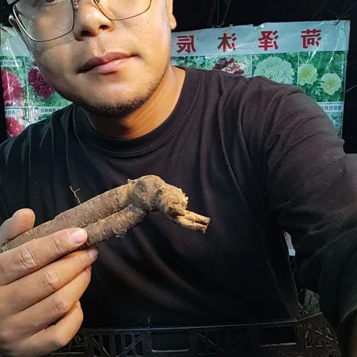 当前无花栽培后可以开花种生粉........