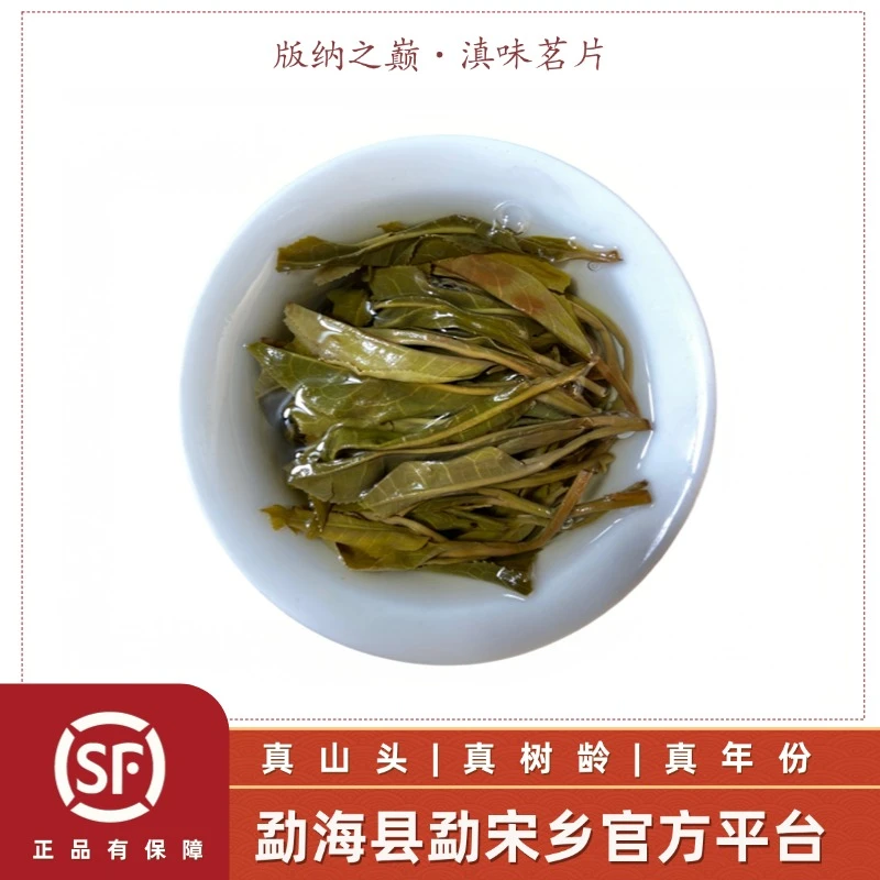 C 古树茶｜云南普洱茶生茶大叶种晒青毛茶高端勐海古树纯料